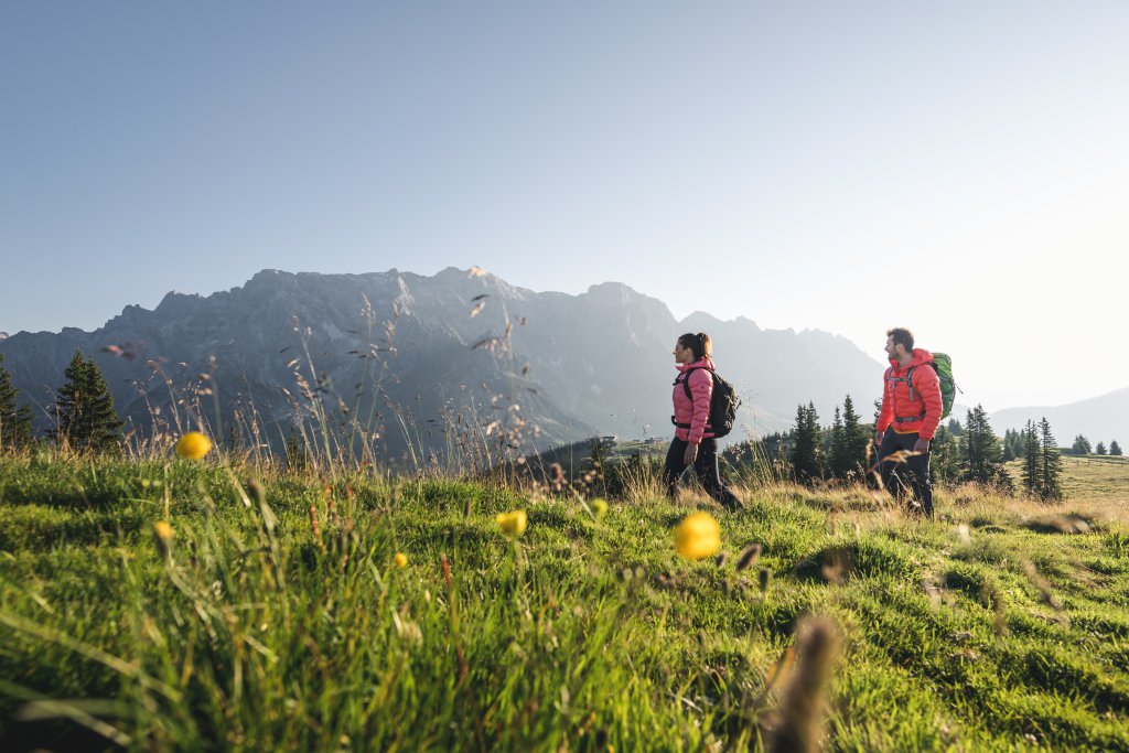 Active on the alp - Grünegg Alm und Hochkönig Edelbrennerei